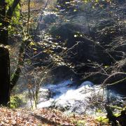 2024 01 30 Boucle dans le Parc naturel d'Artikutza