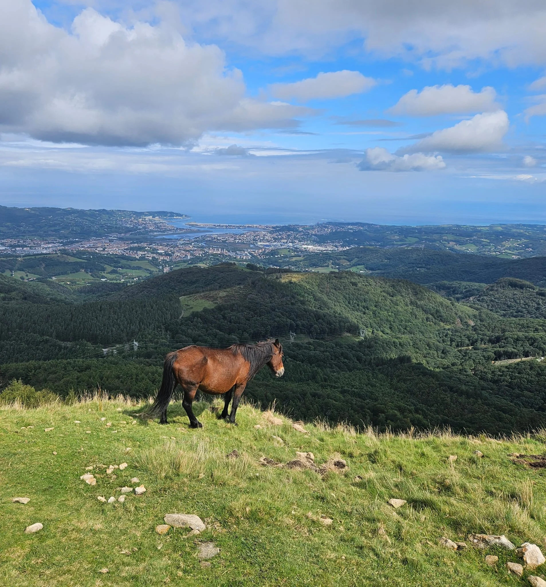  2025 09 09 - 3 couronnes IRUN