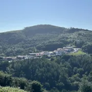 Ibardin