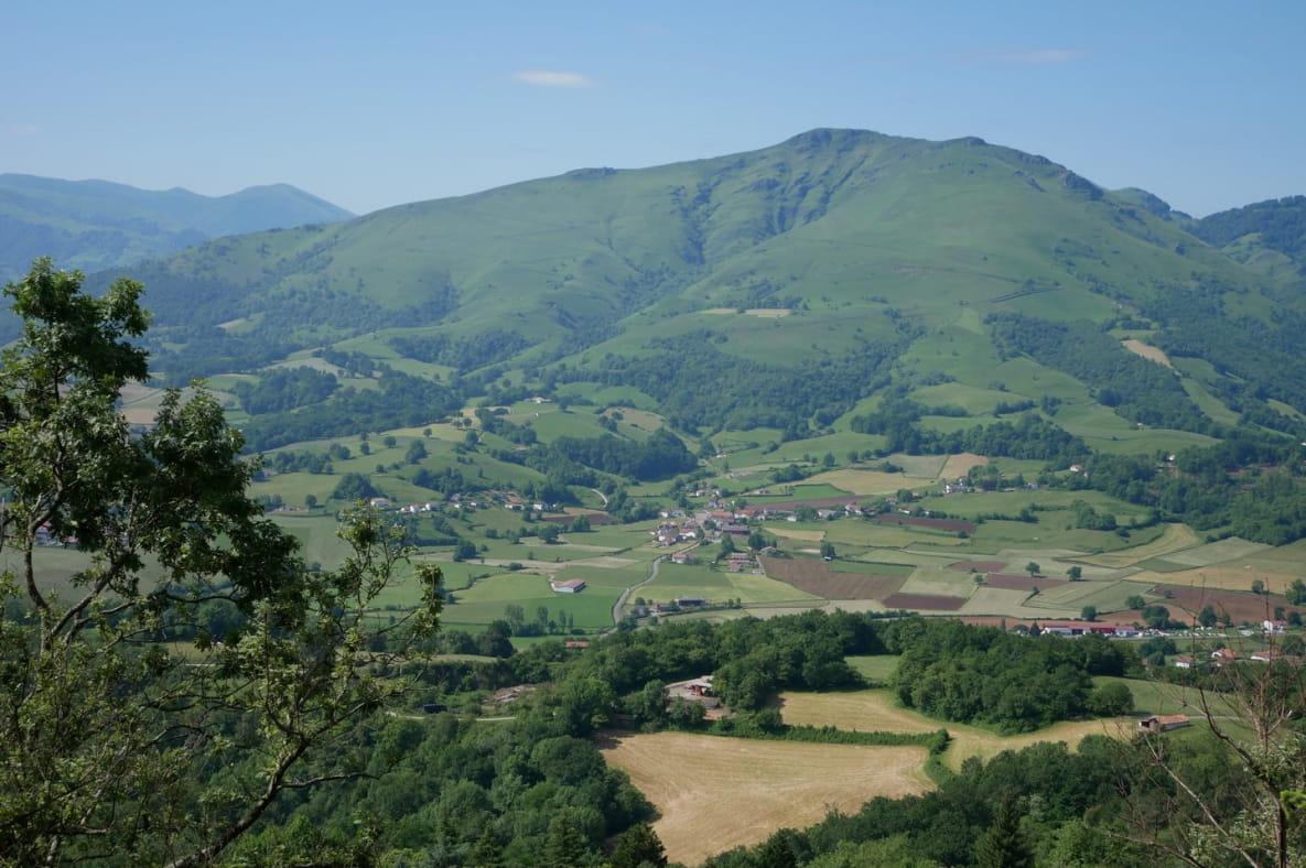 Jara