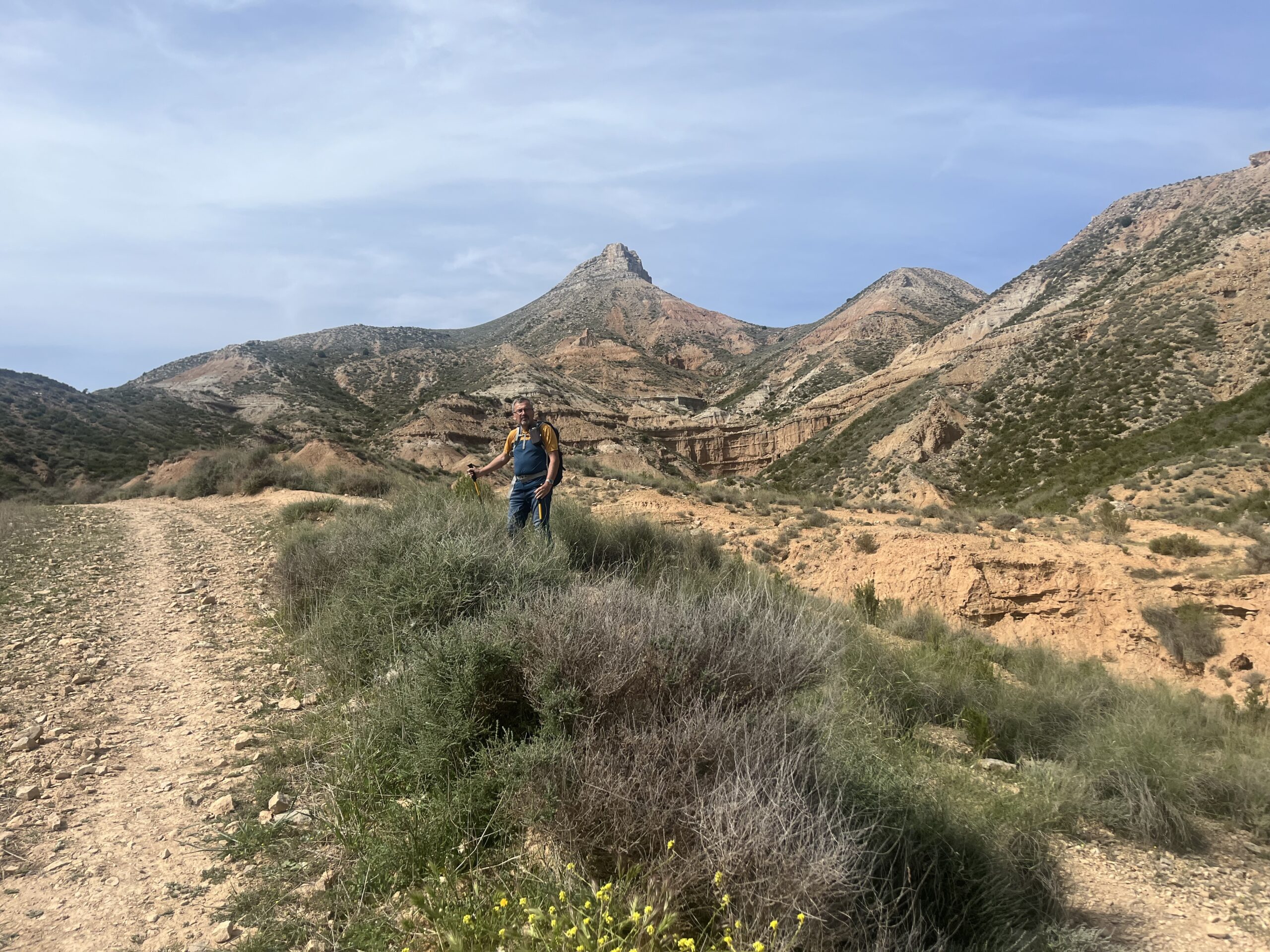 Bardenas Reales