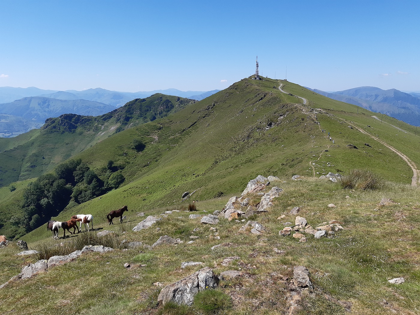 Massif du Baïgura depuis Petrikundegiborda (Louhossa)