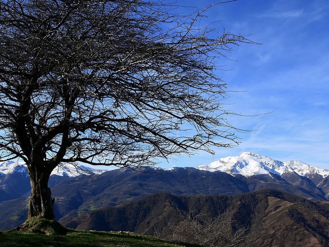 Salhagagne depuis Etchebar